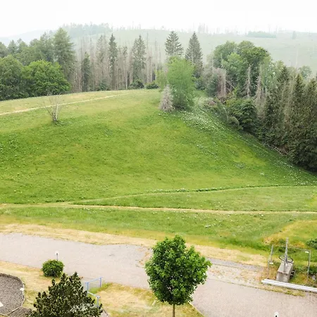 Neu Pauleen 436, Mit Schwimmbad Und Sauna Braunlage
